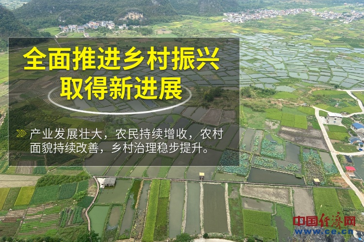 新沂市农业农村局规划现代化农业新格局，推动乡村振兴新篇章