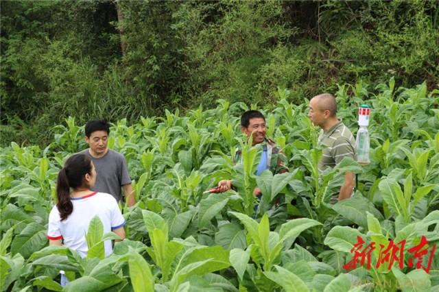 永顺县市场监督管理局发布最新动态