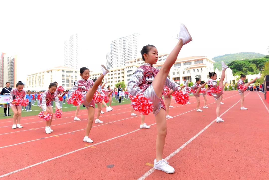 海沧区体育局领导团队，引领变革，共筑体育新篇章